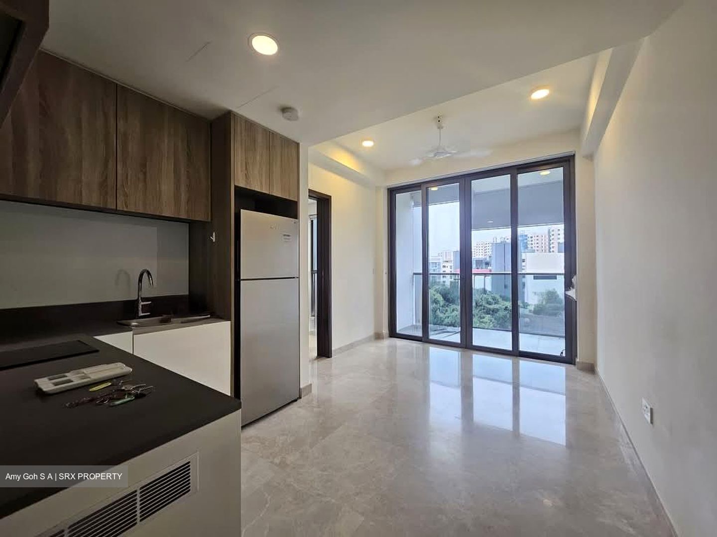 Park Place Residences At Plq (D14), Apartment #573080821